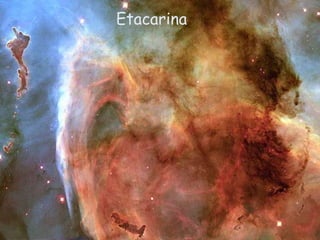 Etacarina
 