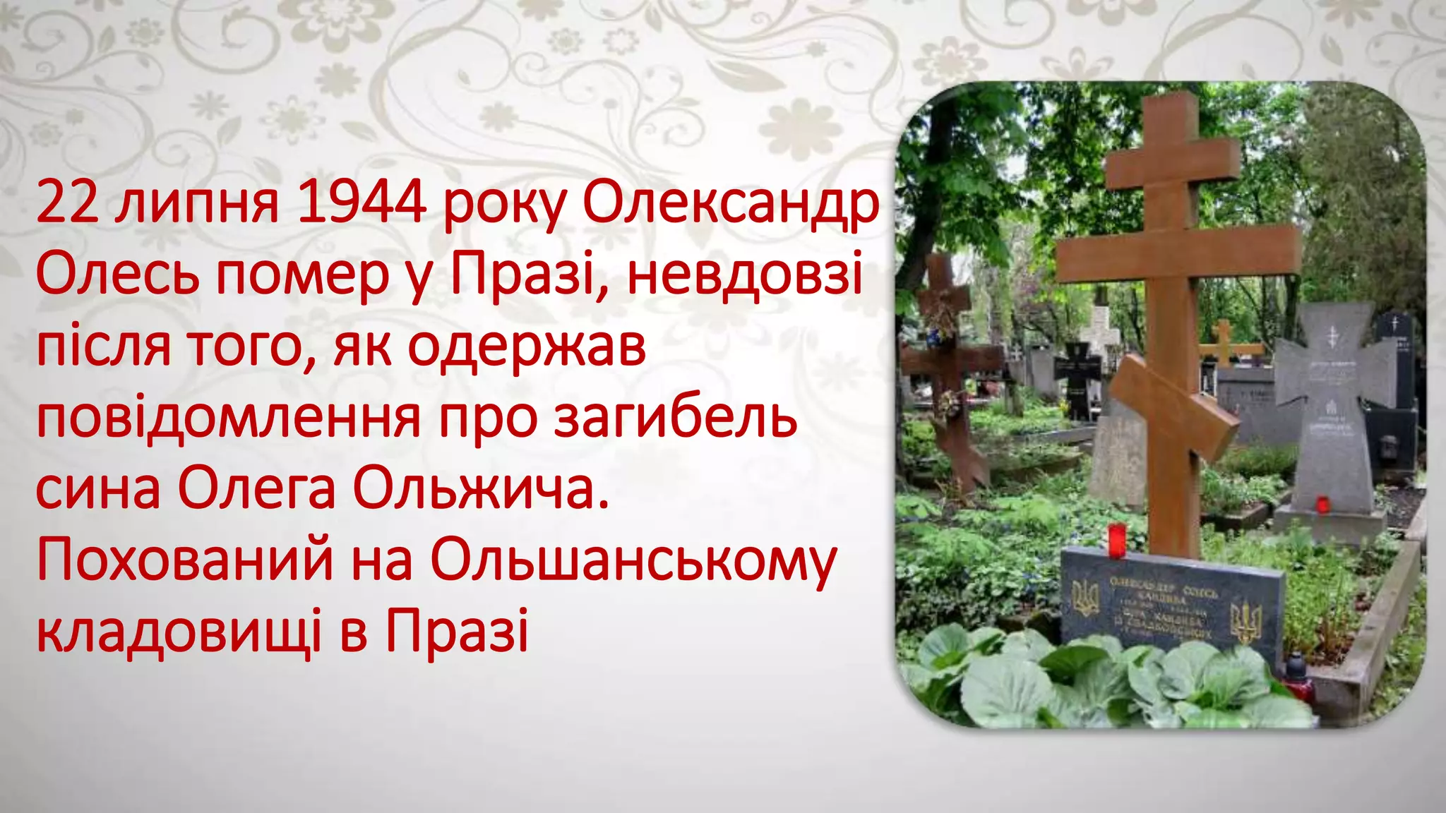 Slide 12