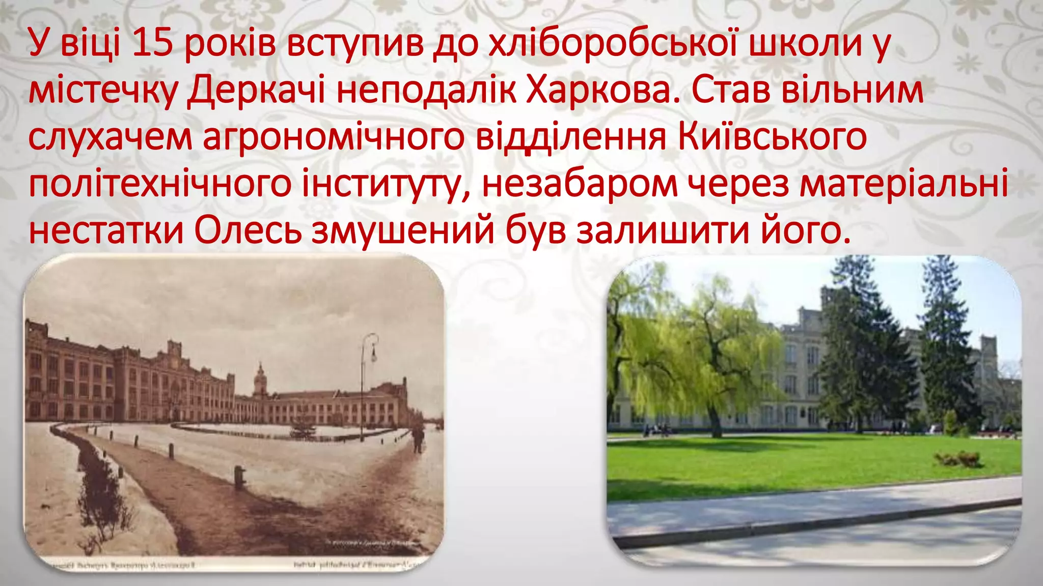 Slide 6