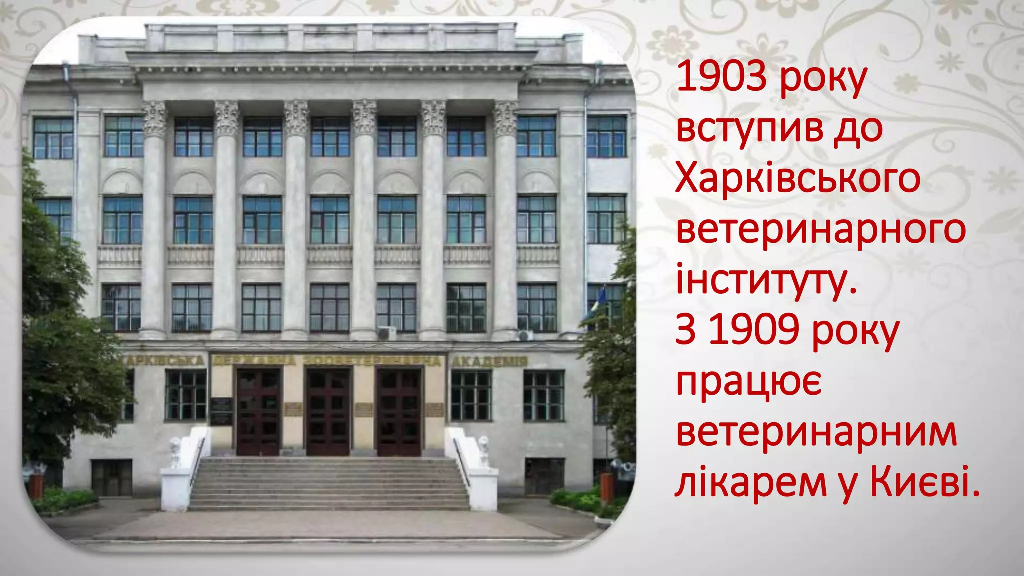 Slide 7