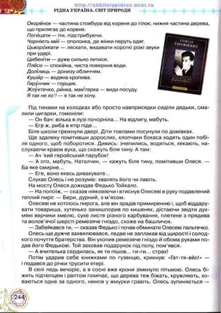 Українська література 5 клас