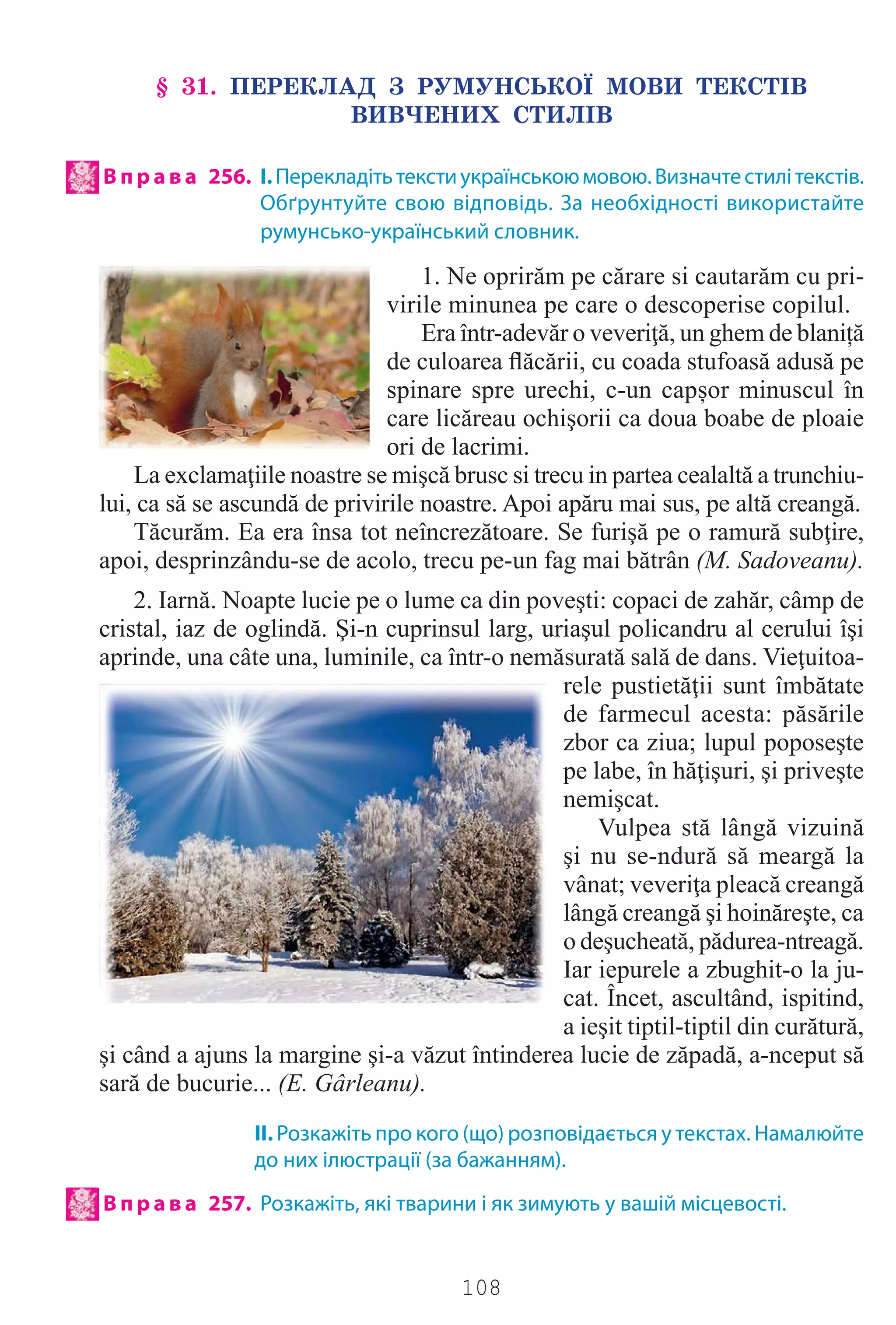 108
§ 31. ÏÅÐÅÊËÀÄ Ç ÐÓÌÓÍÑÜÊÎ¯ ÌÎÂÈ ÒÅÊÑÒ²Â
ÂÈÂ×ÅÍÈÕ ÑÒÈË²Â
В п р а в а 256. І.Перекладітьтекстиукраїнськоюмовою.Визначтестилітекстів.
Обґрунтуйте свою відповідь. За необхідності використайте
румунсько-український словник.
1. Ne oprirăm pe cărare si cautarăm cu pri-
virile minunea pe care o descoperise copilul.
Era într-adevăr o veveriţă, un ghem de blaniță
de culoarea ﬂăcării, cu coada stufoasă adusă pe
spinare spre urechi, c-un capșor minuscul în
care licăreau ochişorii ca doua boabe de ploaie
ori de lacrimi.
La exclamaţiile noastre se mişcă brusc si trecu in partea cealaltă a trunchiu-
lui, ca să se ascundă de privirile noastre. Apoi apăru mai sus, pe altă creangă.
Tăcurăm. Ea era însa tot neîncrezătoare. Se furişă pe o ramură subţire,
apoi, desprinzându-se de acolo, trecu pe-un fag mai bătrân (M. Sadoveanu).
2. Iarnă. Noapte lucie pe o lume ca din poveşti: copaci de zahăr, câmp de
cristal, iaz de oglindă. Şi-n cuprinsul larg, uriaşul policandru al cerului îşi
aprinde, una câte una, luminile, ca într-o nemăsurată sală de dans. Vieţuitoa-
rele pustietăţii sunt îmbătate
de farmecul acesta: păsările
zbor ca ziua; lupul poposeşte
pe labe, în hăţişuri, şi priveşte
nemişcat.
Vulpea stă lângă vizuină
şi nu se-ndură să meargă la
vânat; veveriţa pleacă creangă
lângă creangă şi hoinăreşte, ca
o deşucheată, pădurea-ntreagă.
Iar iepurele a zbughit-o la ju-
cat. Încet, ascultând, ispitind,
a ieşit tiptil-tiptil din curătură,
şi când a ajuns la margine şi-a văzut întinderea lucie de zăpadă, a-nceput să
sară de bucurie... (E. Gârleanu).
ІІ. Розкажіть про кого (що) розповідається у текстах. Намалюйте
до них ілюстрації (за бажанням).
В п р а в а 257. Розкажіть, які тварини і як зимують у вашій місцевості.
Право для безоплатного розміщення підручника в мережі Інтернет має
Міністерство освіти і науки України http://mon.gov.ua/ та Інститут модернізації змісту освіти https://imzo.gov.ua
 