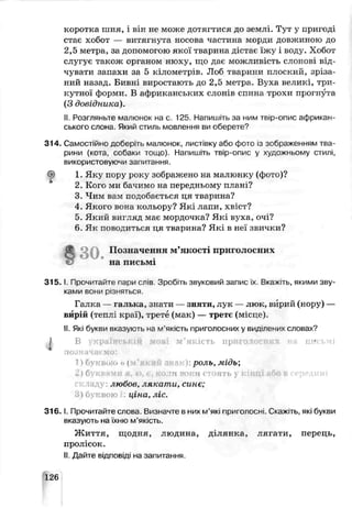 коротка шия, і в:н не може дотягтися до землі. Тут у пригоді
стає хобот — витягнута носова частина морди довжиною до
2,5 метра, за допомогою якої і варина дістає їжу і воду. Хобот
слугує також органом нюху, що дає можливість слонові від­
чувати запахи за 5 кілометрів. Лоб тварини плоский, зріза­
ний назад. Бивні виростають до 2,5 метра. Вуха великі, три­
кутної форми. В африканських слонів спина трохи прогнута
(З довідника).
II. Розгляньте малюнок на с. 125. Напишіть за ним трір-опис африкан­
ського слона. Який стиль мовлення ви оберете0
314. Самостійно доберіть .иалюнок, листівку або фото із зображанням тва­
рини (кота собаки тощо). Напишіть твір-опис у художньому стилі,
використовуючи запитання.
1. Яку пору року зображено на малюнку (фото)?
2. Кого ми бачимо на передньому плані?
3. Чим вам подобається ця тварина?
4. Якого вона кольору? Які лапи, хв:ст?
5. Який вигляд має мордочка? Які вуха, очі?
6. Як поводиться ця тварина? Які в неї звички?
§З О . Позначання м’якості приголосних
на письмі
3 1 5 .1. Прочитайте паои слів Зробіть звуковий запис їх Бкэж^ ь, якими зву­
ками вони різняться.
Галка — галька, знати — зняти, лук — люк, вмрий (нору) —
в юій (теплі краї), трете (мак) — третє (місце).
II. Які букси вказукгь на м’якість поиголосних у виділених словах?
В грнінсккіи м<-ілі u‘якість приї ч ѵ^шгх г г
позначаємо:
!) бут:ві»Иі п (' к г? роль, мідь;
%) буквами я, /о, €, ко.гії ропи п і ь у кінці або в середині
любсв, лякати, сине;
) буквою і ціна, ліс.
3 1 6 .1. Прочитайте слоьа. Визначте в них м’які приголосні. Скажть, які букви
вказують на їхню м'якість.
Ж иття, щодня, людина, ділянка, лягати, перець,
пролісок.
II Дайте відповіді на запитання.
126
 