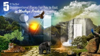 5 Unconventional Places to Visit in Madhya Pradesh