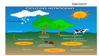 .
.
KrishnaCifuentesNº6
 