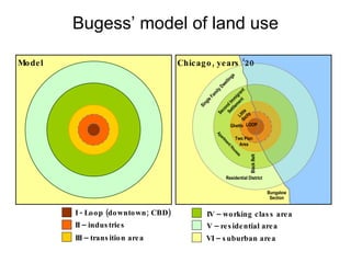 Bugess’ model of land use IV – working class area V – residential area VI – suburban area I - Loop (downtown; CBD) II – industries III – transition area LOOP Little Sicily Apartment Houses Bungalow Section Single Family Dwellings Residential District Ghetto Two Plan Area Second Immigrant Settlement Model Chicago, years ‘20 Black Belt 