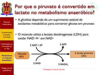 Fisiologia do músculo estriado
Por que o piruvato é convertido em
lactato no metabolismo anaeróbico?
Acoplamento
excitação-
contração
Motores
moleculares
Fadiga central
e periférica
Fosforilação na
contração do
m. liso
Metabolismo
no músculo
esquelético
●
A glicólise depende de um suprimento estável de
oxidantes metabólicos para converter glicose em piruvato
●
O músculo utiliza a lactato desidrogenase (LDH) para
oxidar NAD+H+ em NAD+
 