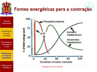 Fisiologia do músculo estriado
Acoplamento
excitação-
contração
Motores
moleculares
Fadiga central
e periférica
Fosforilação na
contração do
m. liso
Metabolismo
no músculo
esquelético
Fontes energéticas para a contração
 