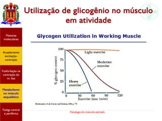 Fisiologia do músculo estriado
Utilização de glicogênio no músculo
em atividade
Acoplamento
excitação-
contração
Motores
moleculares
Fadiga central
e periférica
Fosforilação na
contração do
m. liso
Metabolismo
no músculo
esquelético
 