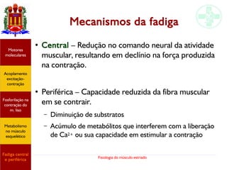 Fisiologia do músculo estriado
Mecanismos da fadiga
●
Central – Redução no comando neural da atividade
muscular, resultando em declínio na força produzida
na contração.
●
Periférica – Capacidade reduzida da fibra muscular
em se contrair.
– Diminuição de substratos
– Acúmulo de metabólitos que interferem com a liberação
de Ca2+ ou sua capacidade em estimular a contração
Acoplamento
excitação-
contração
Motores
moleculares
Fadiga central
e periférica
Fosforilação na
contração do
m. liso
Metabolismo
no músculo
esquelético
 