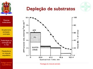 Fisiologia do músculo estriado
Acoplamento
excitação-
contração
Motores
moleculares
Fadiga central
e periférica
Fosforilação na
contração do
m. liso
Metabolismo
no músculo
esquelético
Depleção de substratos
 