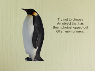 Try not to choose
An object that has
Been photoshopped out
Of an environment.