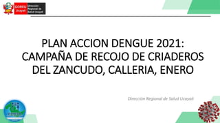 PLAN ACCION DENGUE 2021:
CAMPAÑA DE RECOJO DE CRIADEROS
DEL ZANCUDO, CALLERIA, ENERO
Dirección Regional de Salud Ucayali
 