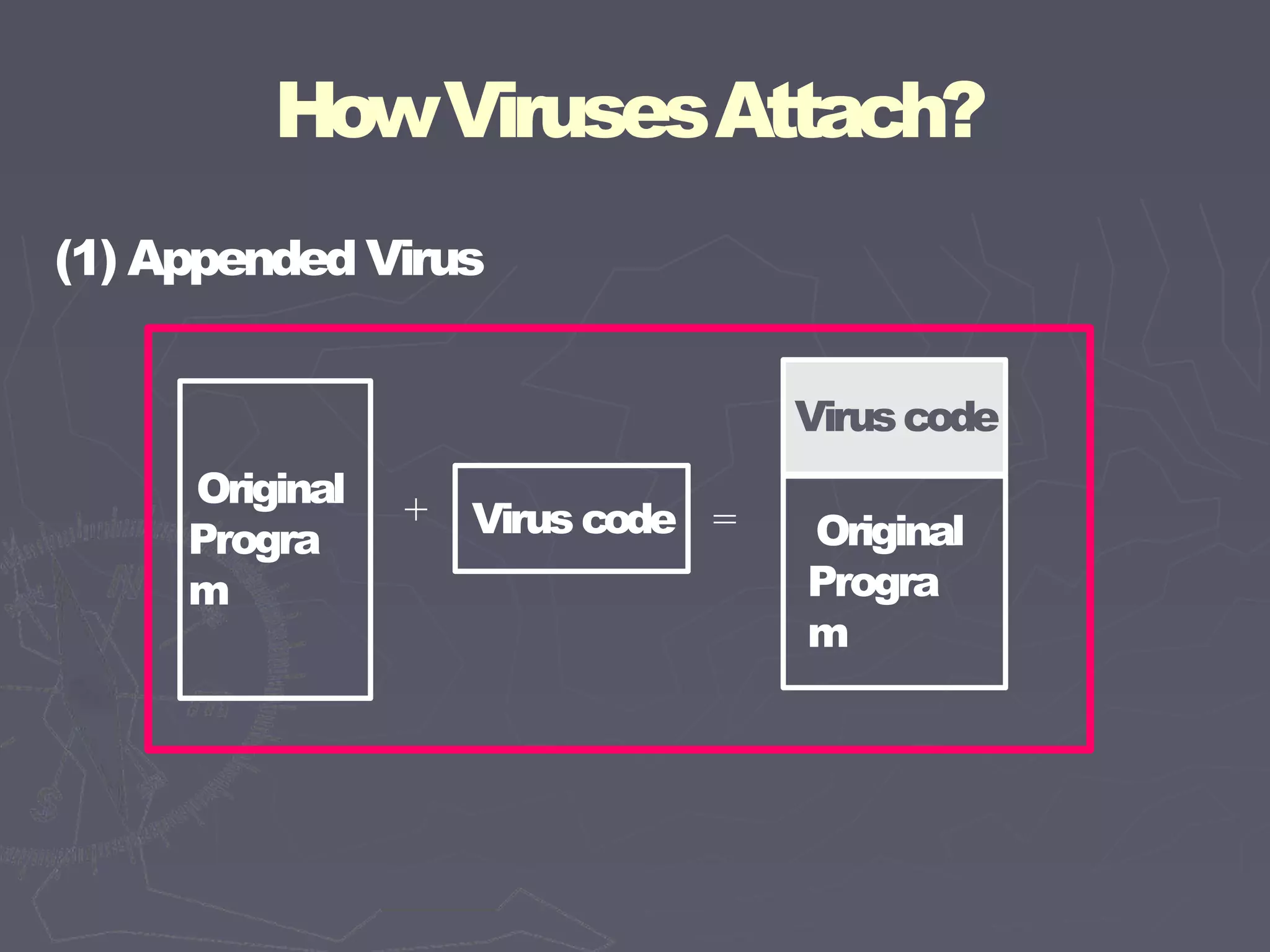 HowVirusesAttach?
(1) Appended Virus
Original
Progra
m
+ Virus code = Original
Progra
m
Viruscode
 