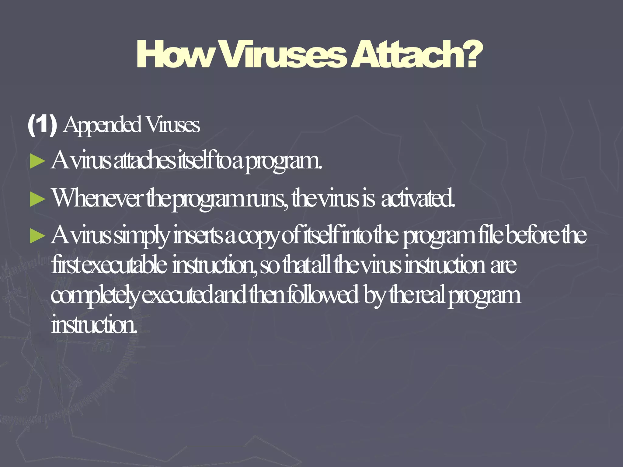 HowVirusesAttach?
(1) AppendedViruses
►Avirusattachesitselftoaprogram.
►Whenevertheprogramruns,thevirusis activated.
►Avirussimplyinsertsacopyofitselfintotheprogramfilebeforethe
firstexecutableinstruction,sothatallthevirusinstructionare
completelyexecutedandthenfollowedbytherealprogram
instruction.
 