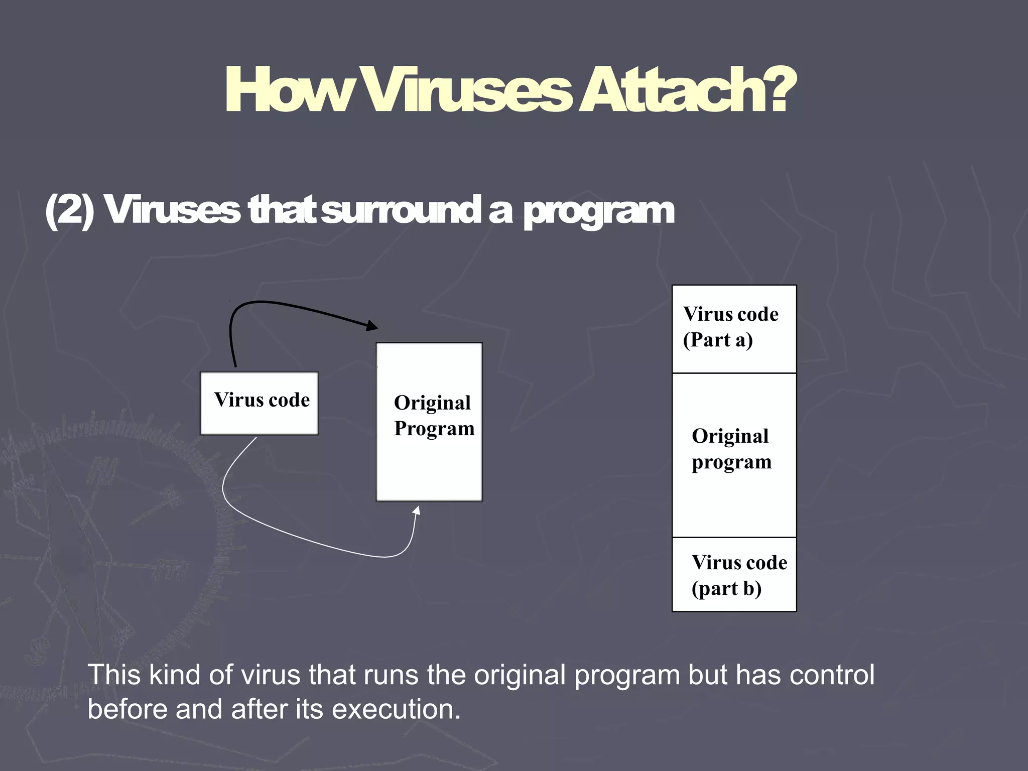 HowVirusesAttach?
(2) Virusesthatsurrounda program
Virus code Original
Program
Virus code
(Part a)
Original
program
Virus code
(part b)
This kind of virus that runs the original program but has control
before and after its execution.
 