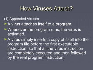 How Viruses Attach?How Viruses Attach?
(1) Appended Viruses
►A virus attaches itself to a program.
►Whenever the program runs, the virus is
activated.
►A virus simply inserts a copy of itself into the
program file before the first executable
instruction, so that all the virus instruction
are completely executed and then followed
by the real program instruction.
 