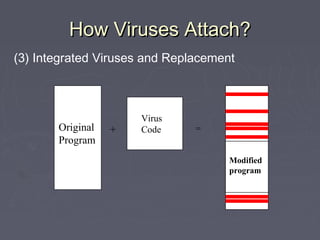 How Viruses Attach?How Viruses Attach?
(3) Integrated Viruses and Replacement
Original
Program
+
Virus
Code =
Modified
program
 