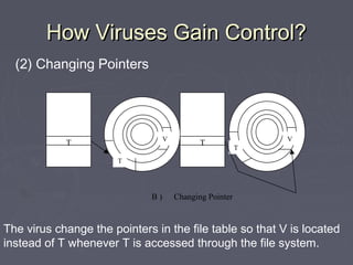 How Viruses Gain Control?How Viruses Gain Control?
(2) Changing Pointers
T T
B ) Changing Pointer
T
V
T
V
The virus change the pointers in the file table so that V is located
instead of T whenever T is accessed through the file system.
 