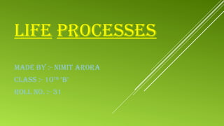 LIFE PROCESSES
MADE BY :- NIMIT ARORA
CLASS :- 10Th
‘B’
ROLL NO. :- 31
 
