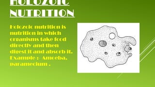 Holozoic Example Life processes | PPT