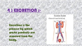 4 ) EXCRETION :-
 Excretion is the
process by which
waste products are
removed from the
body.
 