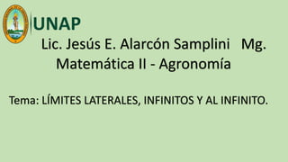 Lic. Jesús E. Alarcón Samplini Mg.
Matemática II - Agronomía
Tema: LÍMITES LATERALES, INFINITOS Y AL INFINITO.
 