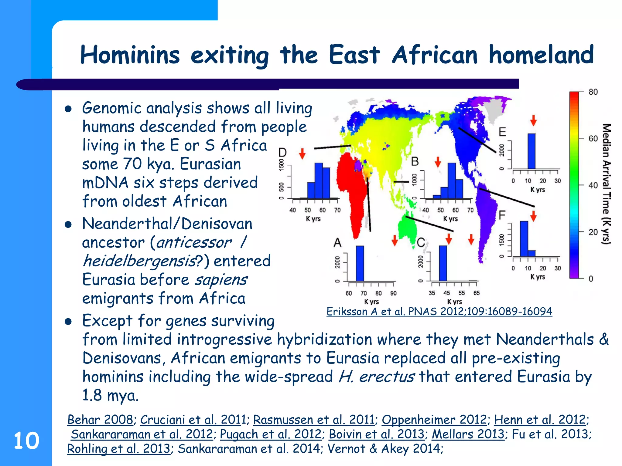 Eriksson A et al. PNAS 2012;109:16089-16094
 Genomic analysis shows all living
humans descended from people
living in the E or S Africa
some 70 kya. Eurasian
mDNA six steps derived
from oldest African
 Neanderthal/Denisovan
ancestor (anticessor /
heidelbergensis?) entered
Eurasia before sapiens
emigrants from Africa
 Except for genes surviving
from limited introgressive hybridization where they met Neanderthals &
Denisovans, African emigrants to Eurasia replaced all pre-existing
hominins including the wide-spread H. erectus that entered Eurasia by
1.8 mya.
Hominins exiting the East African homeland
10
Behar 2008; Cruciani et al. 2011; Rasmussen et al. 2011; Oppenheimer 2012; Henn et al. 2012;
Sankararaman et al. 2012; Pugach et al. 2012; Boivin et al. 2013; Mellars 2013; Fu et al. 2013;
Rohling et al. 2013; Sankararaman et al. 2014; Vernot & Akey 2014;
 