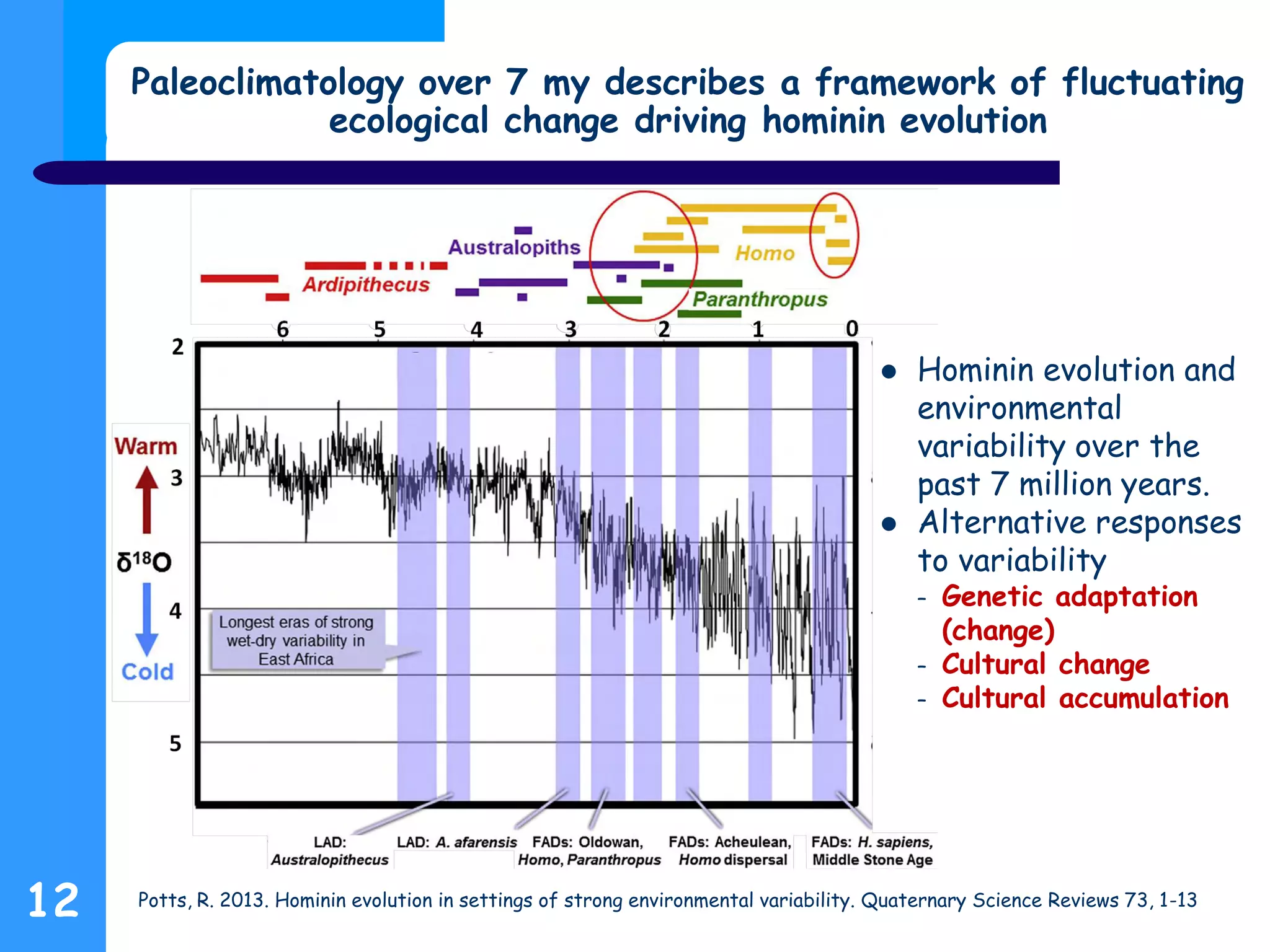Paleoclimatology over 7 my describes a framework of fluctuating
ecological change driving hominin evolution
12 Potts, R. 2013. Hominin evolution in settings of strong environmental variability. Quaternary Science Reviews 73, 1-13
 Hominin evolution and
environmental
variability over the
past 7 million years.
 Alternative responses
to variability
– Genetic adaptation
(change)
– Cultural change
– Cultural accumulation
 