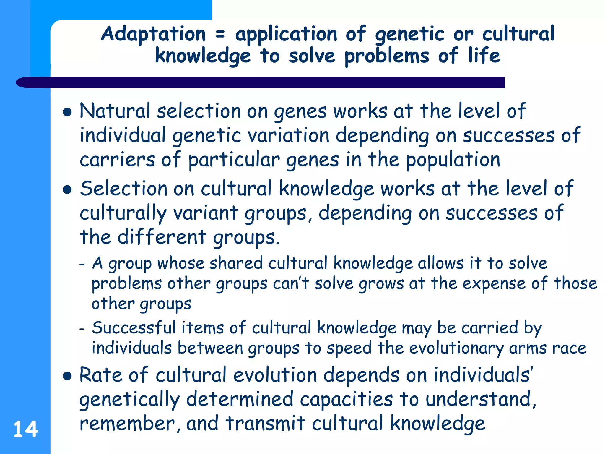 Adaptation = application of genetic or cultural
knowledge to solve problems of life
 Natural selection on genes works at the level of
individual genetic variation depending on successes of
carriers of particular genes in the population
 Selection on cultural knowledge works at the level of
culturally variant groups, depending on successes of
the different groups.
– A group whose shared cultural knowledge allows it to solve
problems other groups can’t solve grows at the expense of those
other groups
– Successful items of cultural knowledge may be carried by
individuals between groups to speed the evolutionary arms race
 Rate of cultural evolution depends on individuals’
genetically determined capacities to understand,
remember, and transmit cultural knowledge14
 