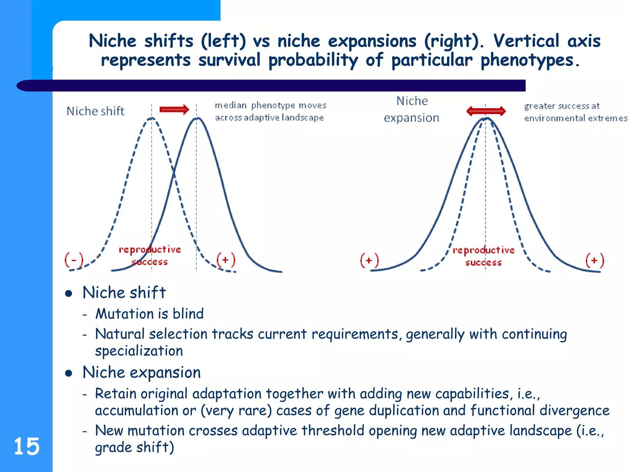 Niche shifts (left) vs niche expansions (right). Vertical axis
represents survival probability of particular phenotypes.
 Niche shift
– Mutation is blind
– Natural selection tracks current requirements, generally with continuing
specialization
 Niche expansion
– Retain original adaptation together with adding new capabilities, i.e.,
accumulation or (very rare) cases of gene duplication and functional divergence
– New mutation crosses adaptive threshold opening new adaptive landscape (i.e.,
grade shift)15
 