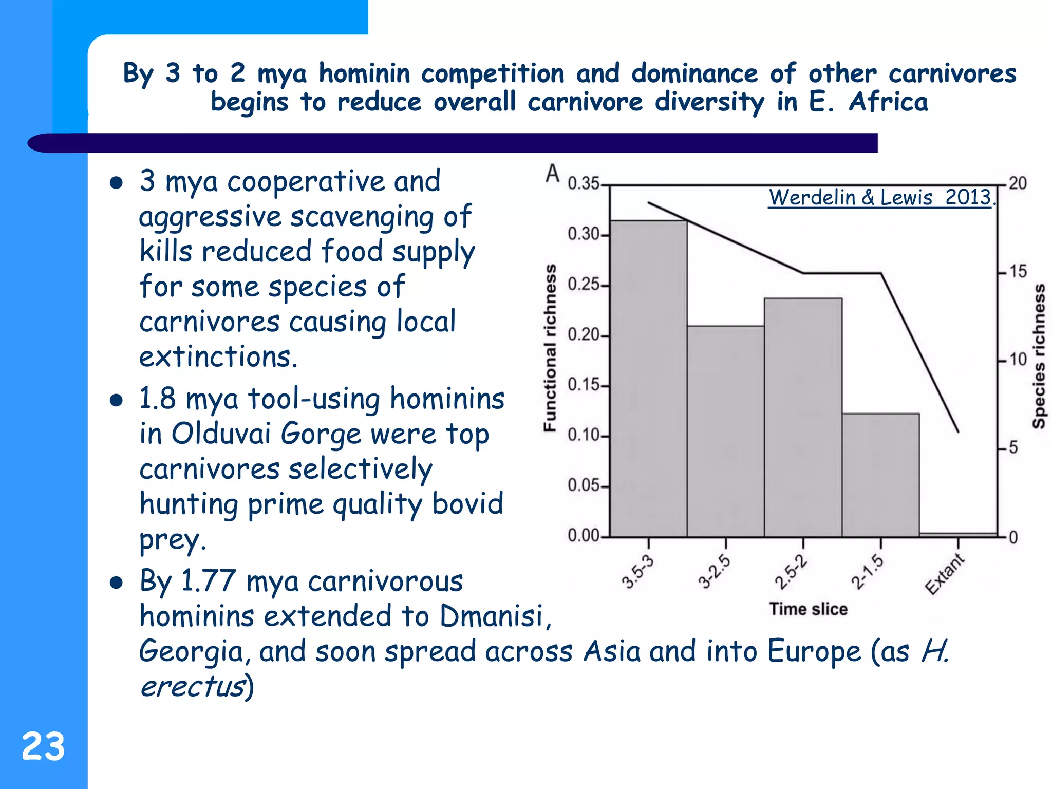  3 mya cooperative and
aggressive scavenging of
kills reduced food supply
for some species of
carnivores causing local
extinctions.
 1.8 mya tool-using hominins
in Olduvai Gorge were top
carnivores selectively
hunting prime quality bovid
prey.
 By 1.77 mya carnivorous
hominins extended to Dmanisi,
Georgia, and soon spread across Asia and into Europe (as H.
erectus)
By 3 to 2 mya hominin competition and dominance of other carnivores
begins to reduce overall carnivore diversity in E. Africa
23
Werdelin & Lewis 2013.
 