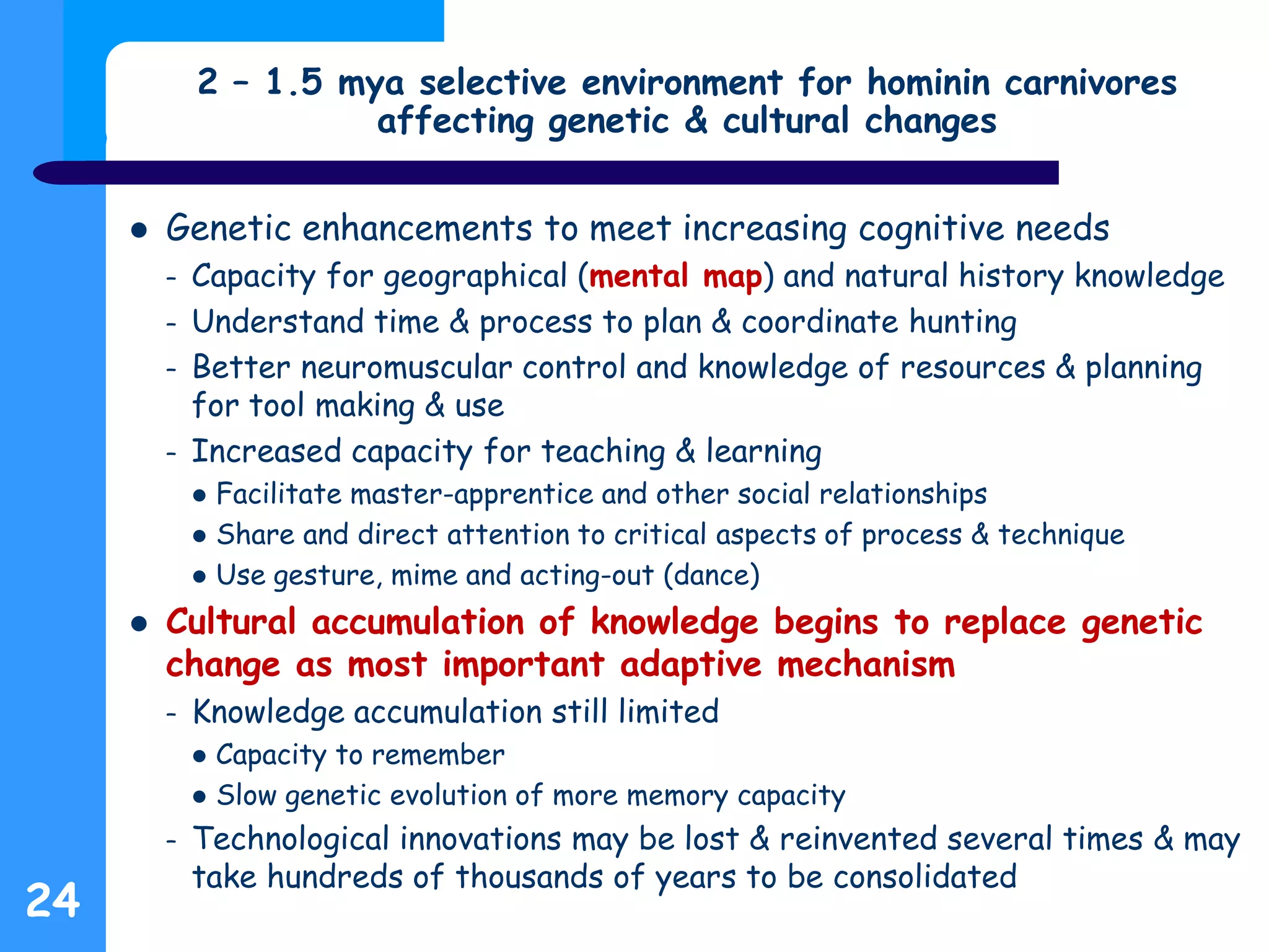  Genetic enhancements to meet increasing cognitive needs
– Capacity for geographical (mental map) and natural history knowledge
– Understand time & process to plan & coordinate hunting
– Better neuromuscular control and knowledge of resources & planning
for tool making & use
– Increased capacity for teaching & learning
 Facilitate master-apprentice and other social relationships
 Share and direct attention to critical aspects of process & technique
 Use gesture, mime and acting-out (dance)
 Cultural accumulation of knowledge begins to replace genetic
change as most important adaptive mechanism
– Knowledge accumulation still limited
 Capacity to remember
 Slow genetic evolution of more memory capacity
– Technological innovations may be lost & reinvented several times & may
take hundreds of thousands of years to be consolidated
2 – 1.5 mya selective environment for hominin carnivores
affecting genetic & cultural changes
24
 