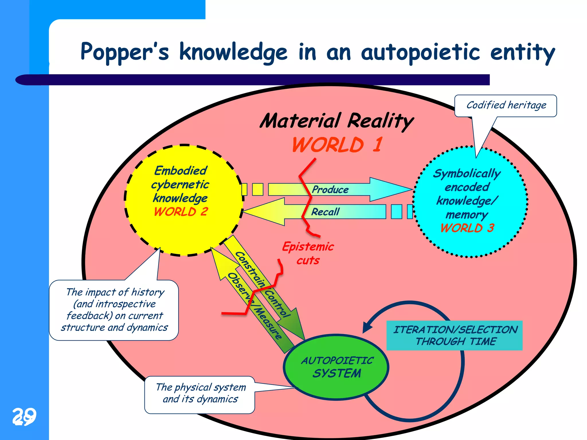 29
Popper’s knowledge in an autopoietic entity
29
Material Reality
WORLD 1
AUTOPOIETIC
SYSTEM
Embodied
cybernetic
knowledge
WORLD 2 Recall
ITERATION/SELECTION
THROUGH TIME
Produce
Symbolically
encoded
knowledge/
memory
WORLD 3
The physical system
and its dynamics
The impact of history
(and introspective
feedback) on current
structure and dynamics
Codified heritage
Epistemic
cuts
 