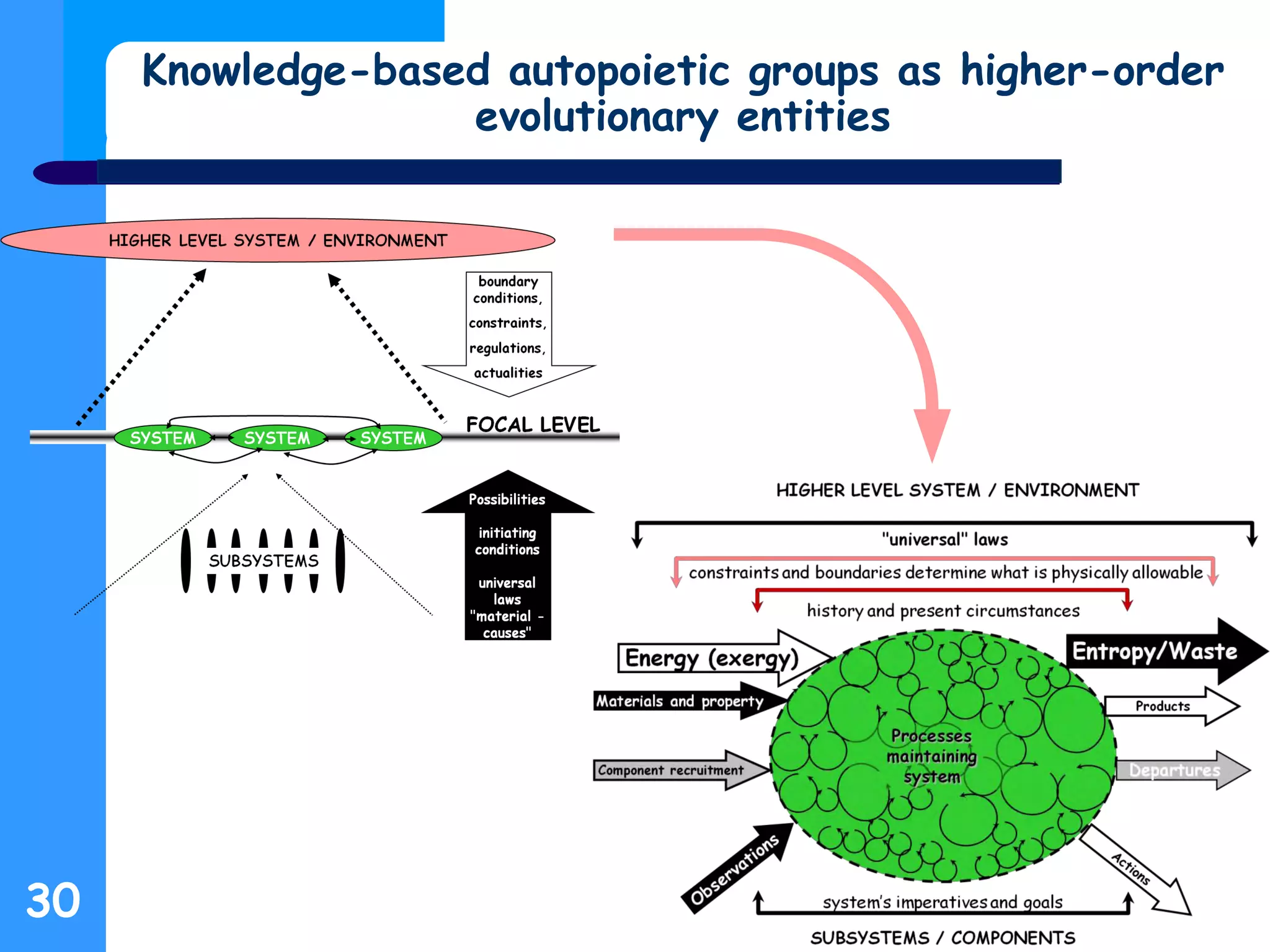Knowledge-based autopoietic groups as higher-order
evolutionary entities
30
 