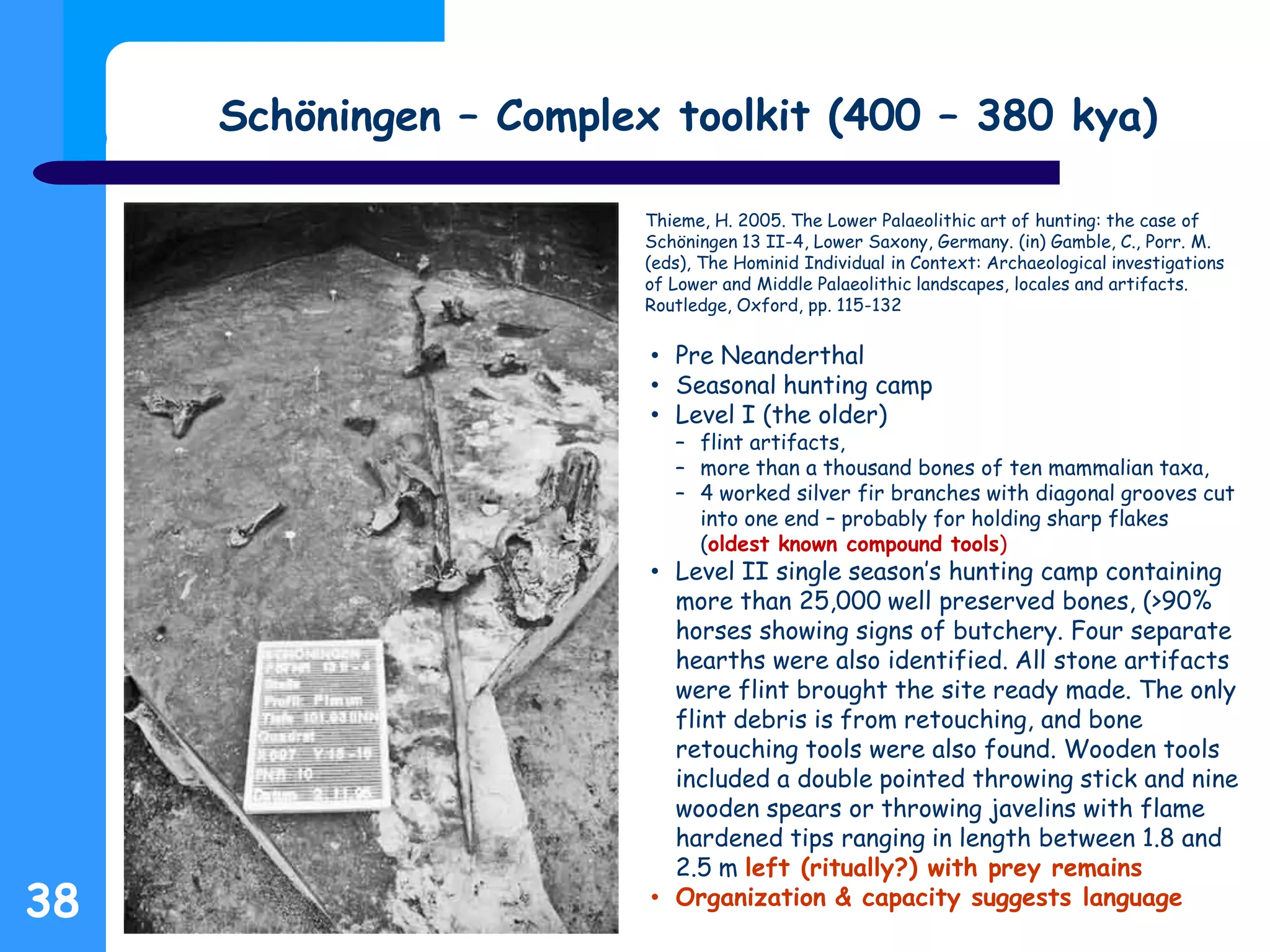 Schöningen – Complex toolkit (400 – 380 kya)
38
Thieme, H. 2005. The Lower Palaeolithic art of hunting: the case of
Schöningen 13 II-4, Lower Saxony, Germany. (in) Gamble, C., Porr. M.
(eds), The Hominid Individual in Context: Archaeological investigations
of Lower and Middle Palaeolithic landscapes, locales and artifacts.
Routledge, Oxford, pp. 115-132
• Pre Neanderthal
• Seasonal hunting camp
• Level I (the older)
– flint artifacts,
– more than a thousand bones of ten mammalian taxa,
– 4 worked silver fir branches with diagonal grooves cut
into one end – probably for holding sharp flakes
(oldest known compound tools)
• Level II single season’s hunting camp containing
more than 25,000 well preserved bones, (>90%
horses showing signs of butchery. Four separate
hearths were also identified. All stone artifacts
were flint brought the site ready made. The only
flint debris is from retouching, and bone
retouching tools were also found. Wooden tools
included a double pointed throwing stick and nine
wooden spears or throwing javelins with flame
hardened tips ranging in length between 1.8 and
2.5 m left (ritually?) with prey remains
• Organization & capacity suggests language
 