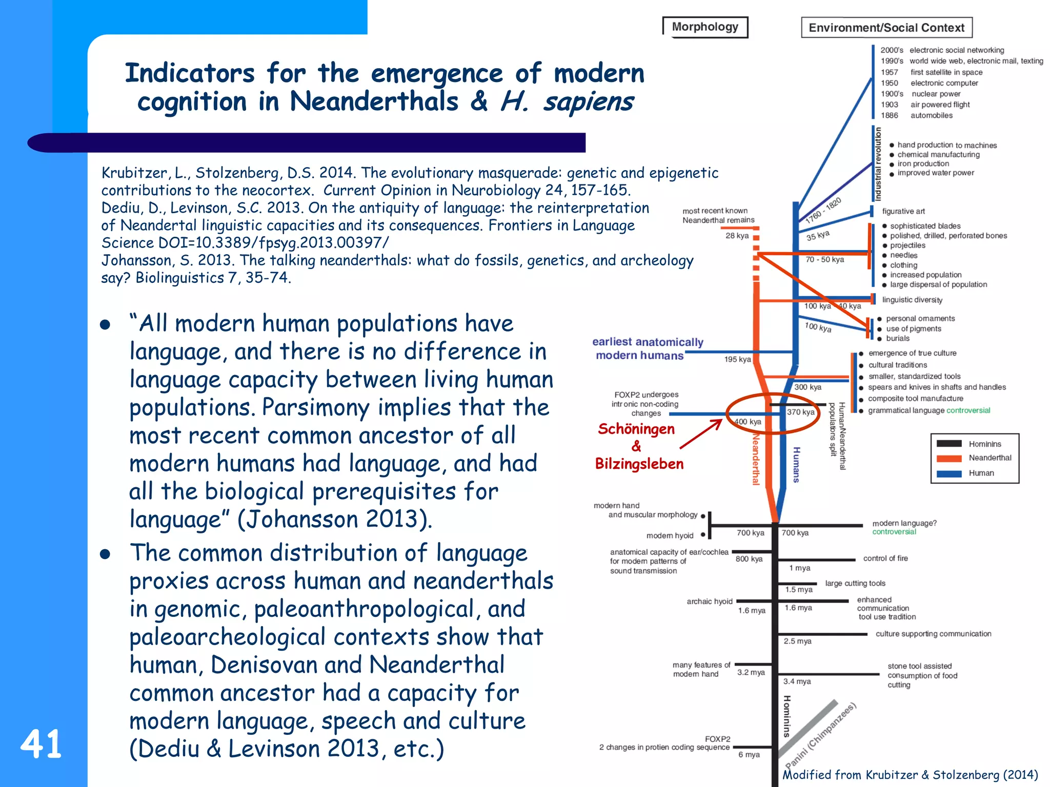 Modified from Krubitzer & Stolzenberg (2014)
 “All modern human populations have
language, and there is no difference in
language capacity between living human
populations. Parsimony implies that the
most recent common ancestor of all
modern humans had language, and had
all the biological prerequisites for
language” (Johansson 2013).
 The common distribution of language
proxies across human and neanderthals
in genomic, paleoanthropological, and
paleoarcheological contexts show that
human, Denisovan and Neanderthal
common ancestor had a capacity for
modern language, speech and culture
(Dediu & Levinson 2013, etc.)41
Krubitzer, L., Stolzenberg, D.S. 2014. The evolutionary masquerade: genetic and epigenetic
contributions to the neocortex. Current Opinion in Neurobiology 24, 157-165.
Dediu, D., Levinson, S.C. 2013. On the antiquity of language: the reinterpretation
of Neandertal linguistic capacities and its consequences. Frontiers in Language
Science DOI=10.3389/fpsyg.2013.00397/
Johansson, S. 2013. The talking neanderthals: what do fossils, genetics, and archeology
say? Biolinguistics 7, 35-74.
Schöningen
&
Bilzingsleben
Indicators for the emergence of modern
cognition in Neanderthals & H. sapiens
 