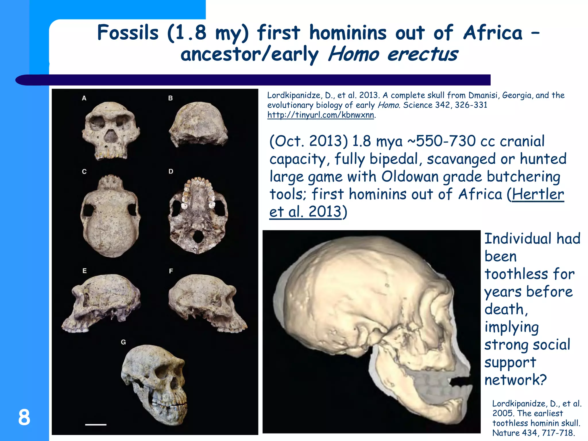 Fossils (1.8 my) first hominins out of Africa –
ancestor/early Homo erectus
8
Lordkipanidze, D., et al. 2013. A complete skull from Dmanisi, Georgia, and the
evolutionary biology of early Homo. Science 342, 326-331
http://tinyurl.com/kbnwxnn.
Lordkipanidze, D., et al.
2005. The earliest
toothless hominin skull.
Nature 434, 717-718.
(Oct. 2013) 1.8 mya ~550-730 cc cranial
capacity, fully bipedal, scavanged or hunted
large game with Oldowan grade butchering
tools; first hominins out of Africa (Hertler
et al. 2013)
Individual had
been
toothless for
years before
death,
implying
strong social
support
network?
 