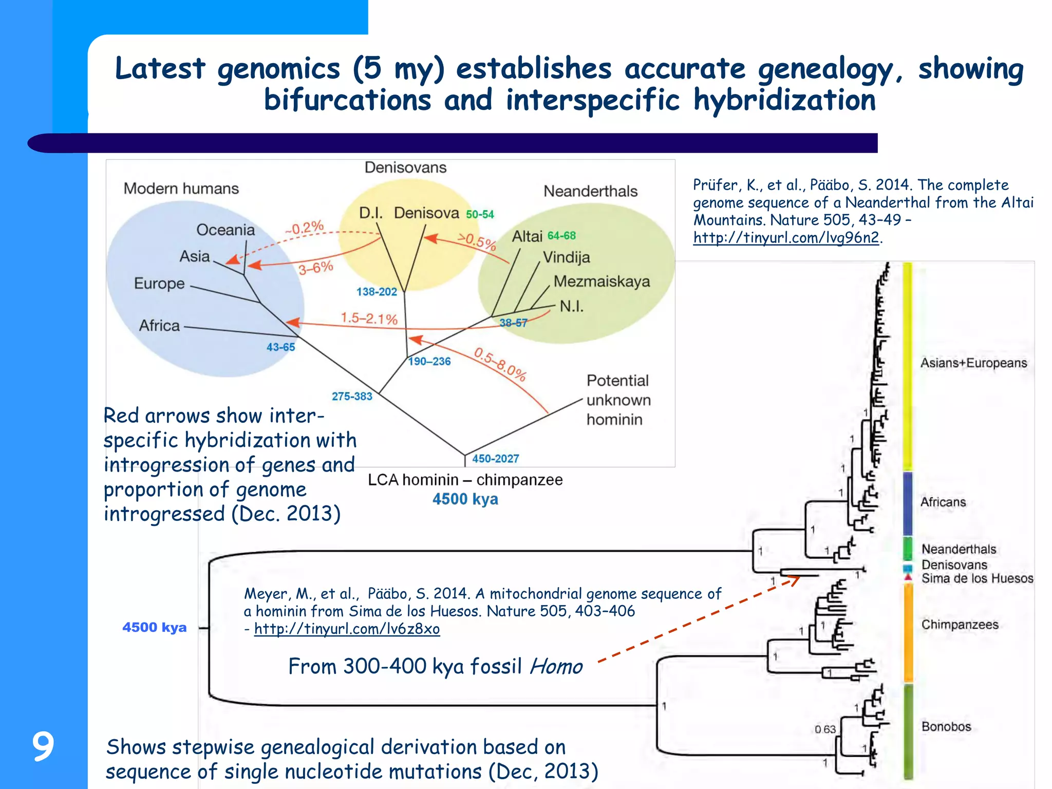 Latest genomics (5 my) establishes accurate genealogy, showing
bifurcations and interspecific hybridization
9
Prüfer, K., et al., Pääbo, S. 2014. The complete
genome sequence of a Neanderthal from the Altai
Mountains. Nature 505, 43–49 –
http://tinyurl.com/lvg96n2.
Meyer, M., et al., Pääbo, S. 2014. A mitochondrial genome sequence of
a hominin from Sima de los Huesos. Nature 505, 403–406
- http://tinyurl.com/lv6z8xo
From 300-400 kya fossil Homo
Red arrows show inter-
specific hybridization with
introgression of genes and
proportion of genome
introgressed (Dec. 2013)
4500 kya
Shows stepwise genealogical derivation based on
sequence of single nucleotide mutations (Dec, 2013)
 