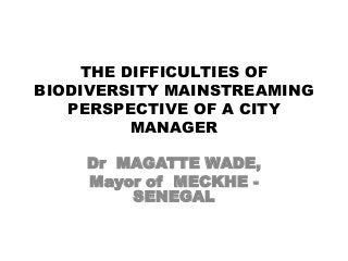 THE DIFFICULTIES OF
BIODIVERSITY MAINSTREAMING
PERSPECTIVE OF A CITY
MANAGER
Dr MAGATTE WADE,
Mayor of MECKHE -
SENEGAL
 