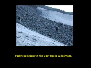 Packwood Glacier in the Goat Rocks Wilderness.   