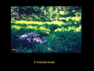 A trailside break.   