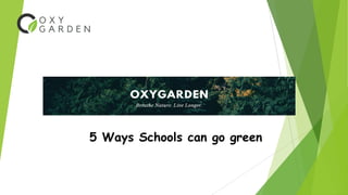 5 Ways Schools can go green
 