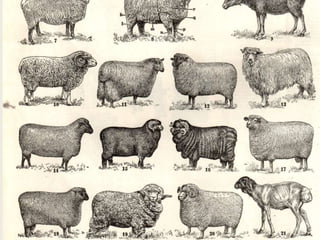 Rick Romell of the Journal Sentinel reports:
“But in buying the Alterra name, Mars can say, as it
does on its Website, that its coffee was born in
Milwaukee in 1993 when three friends, ‘working nights
while keeping their daytime businesses afloat,’ needed
a strong brew. ‘In order to get it,’ the Website declares,
next to a thumbnail photo of the popular and historic
lakefront cafe Fowler and his partners opened in 2002,
‘they decided that they had to roast their own — and
ALTERRA™ was born!’
That’s the sort of yarn you can’t simply invent and feed
to consumers.”

 