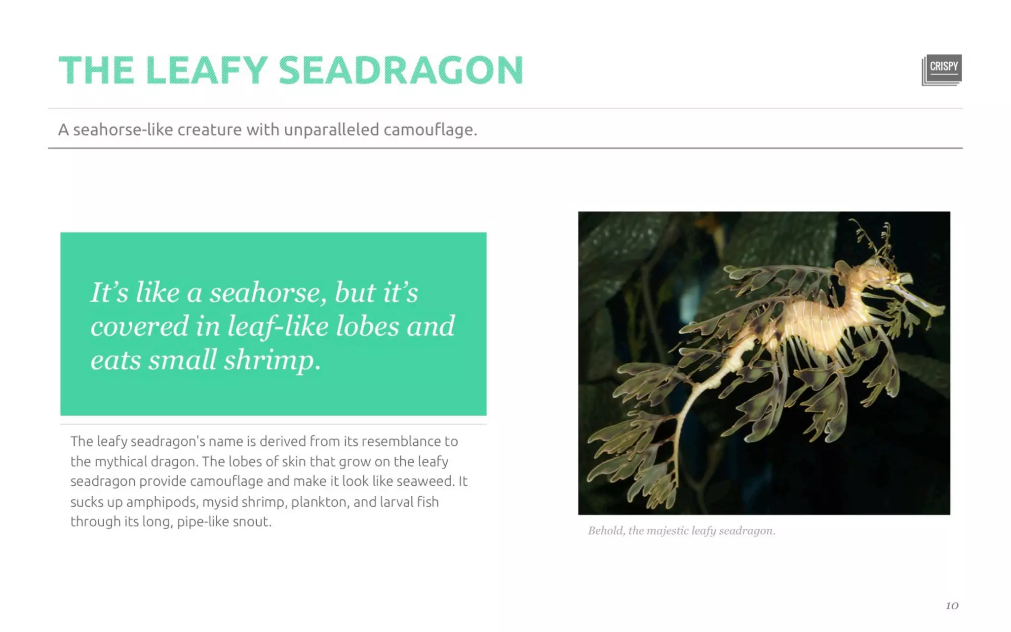 Five Killer Ways to Design The Same Slide