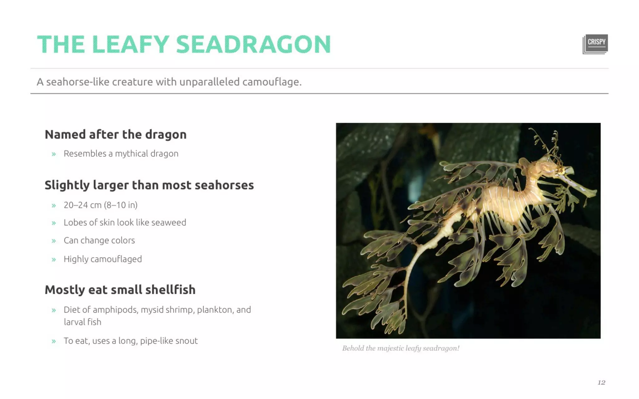 Five Killer Ways to Design The Same Slide