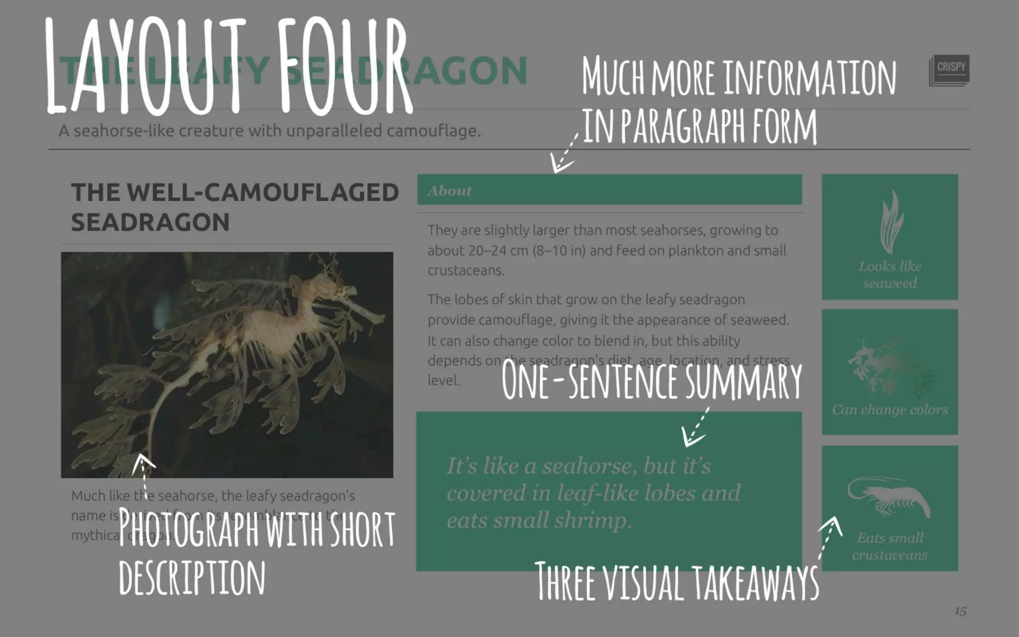 Five Killer Ways to Design The Same Slide
