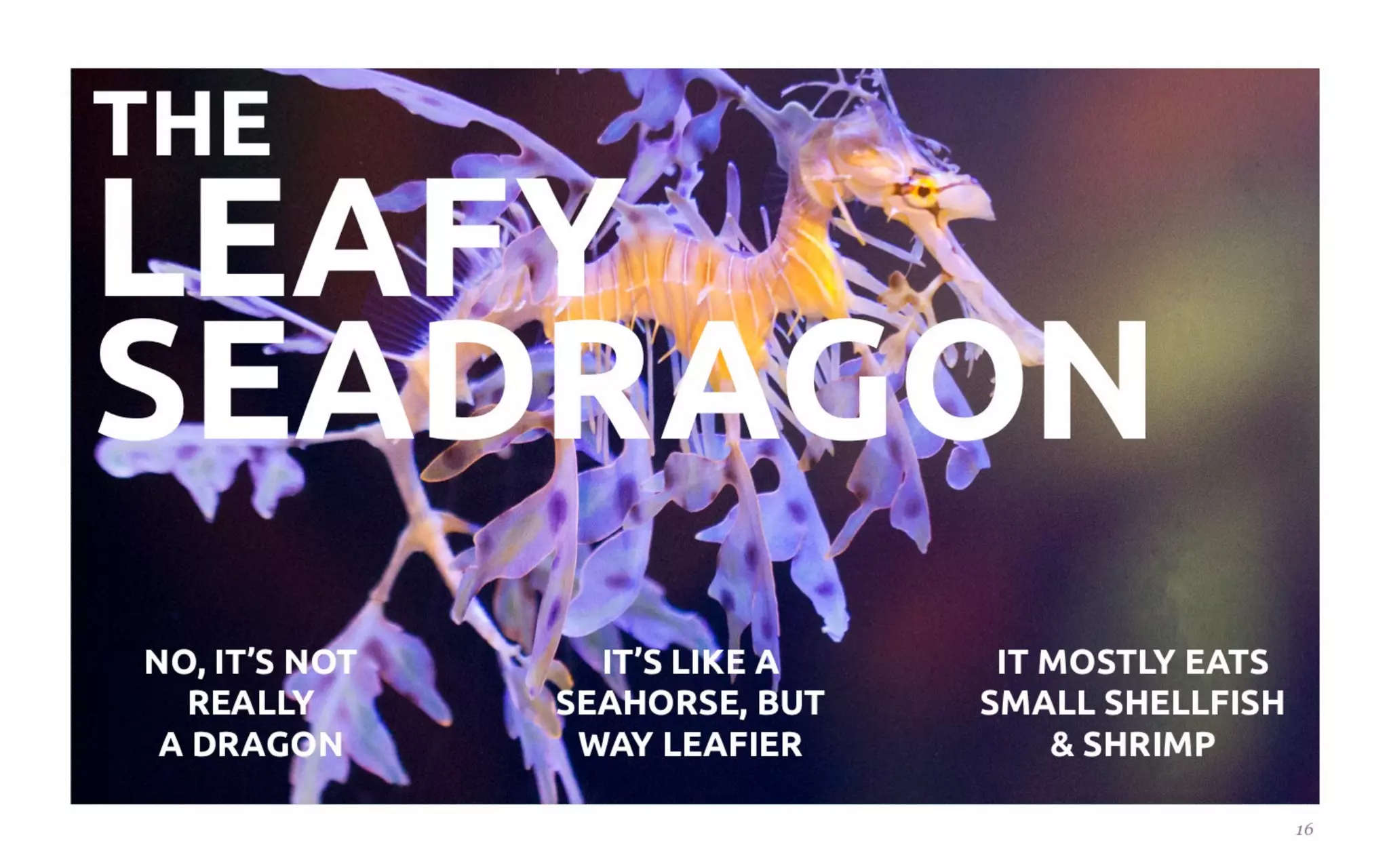 Five Killer Ways to Design The Same Slide