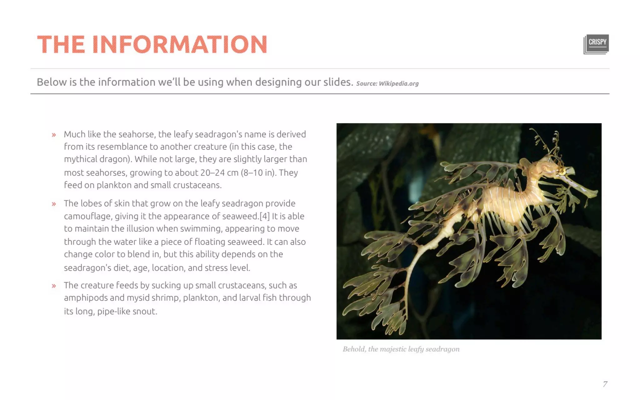 Five Killer Ways to Design The Same Slide