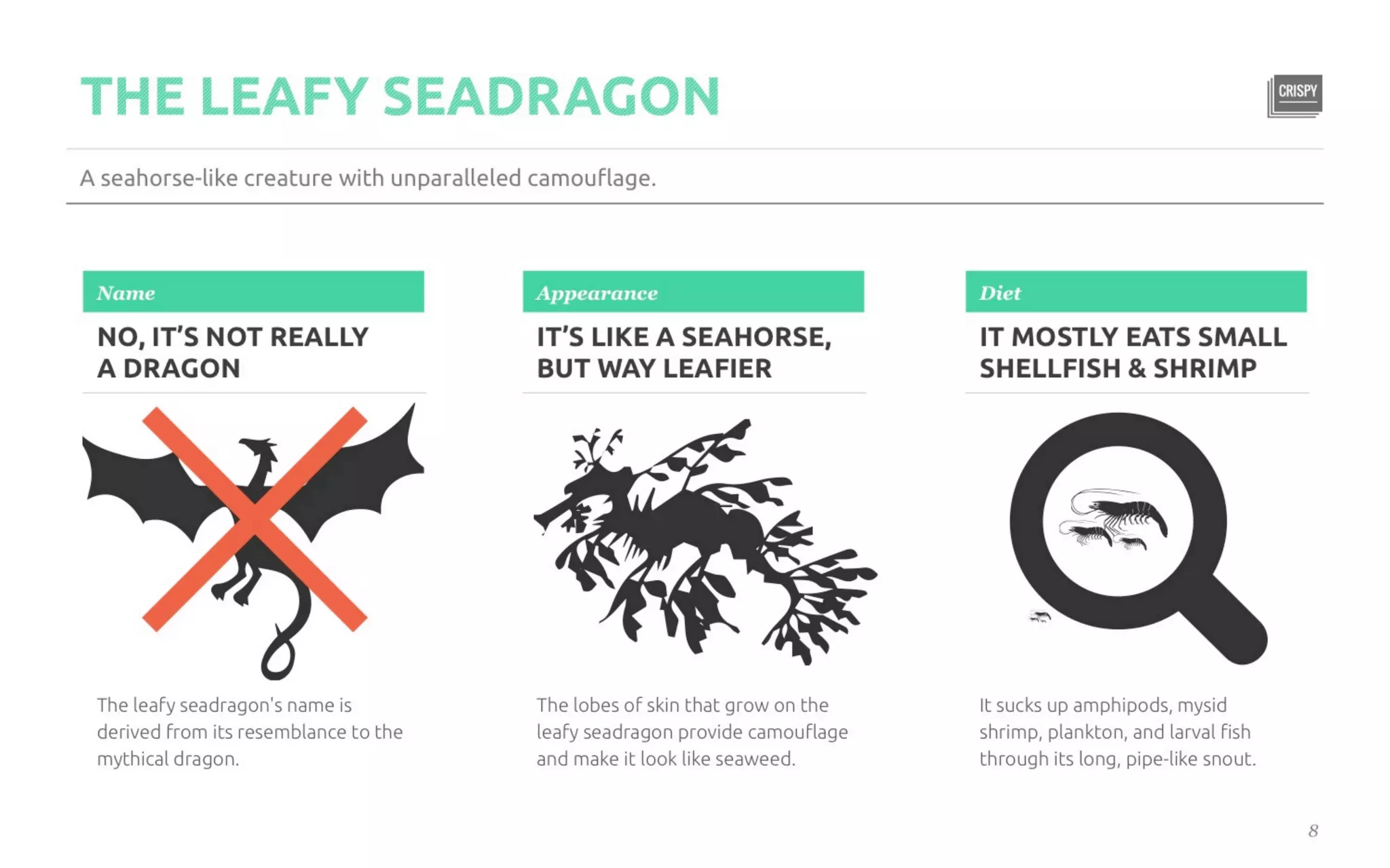Five Killer Ways to Design The Same Slide